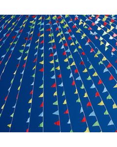Multi colored Triangular Pennant String in sky over auto dealership