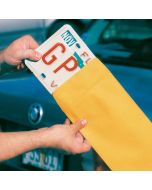 License Plate Mailer in front of a vehicle in an auto dealer lot